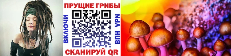 Галлюциногенные грибы GOLDEN TEACHER  Лагань 